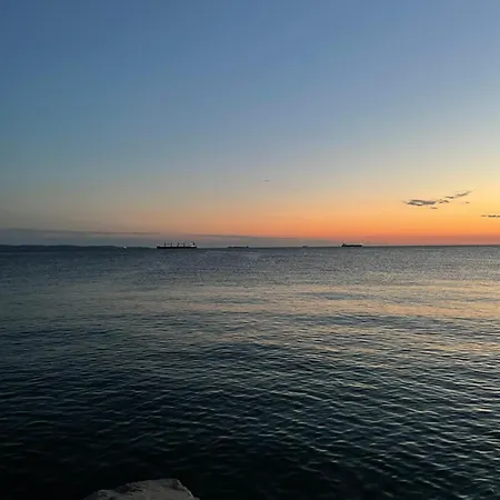 Art Loft Πανσιόν Τεργέστη